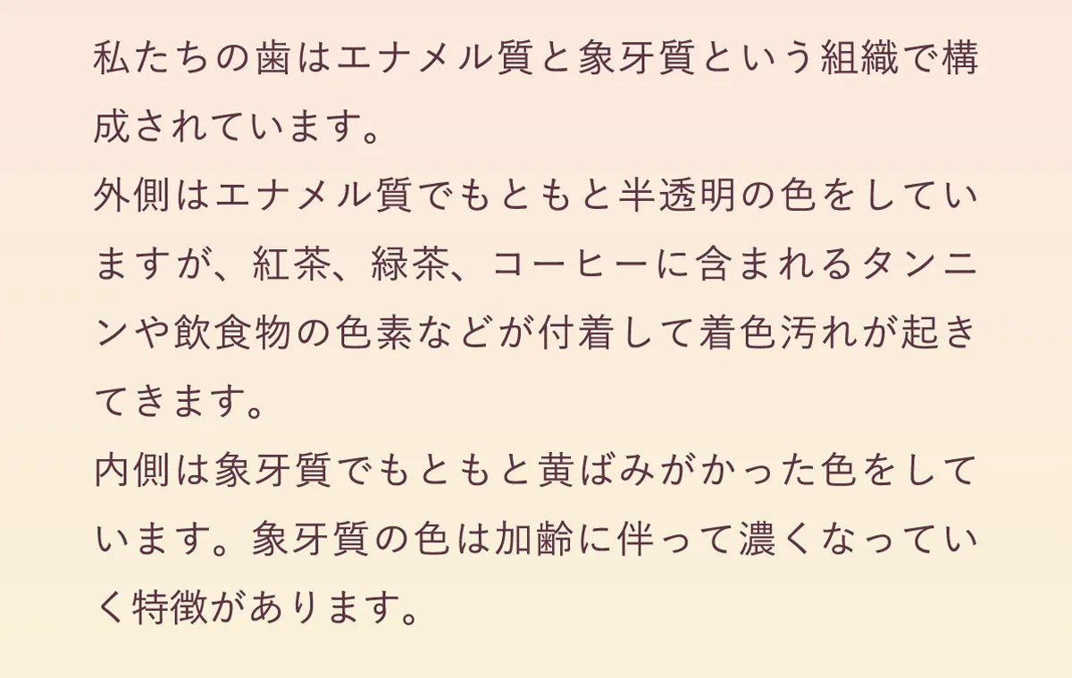 象牙質の色は加齢に伴って濃くなっていく特徴があります
